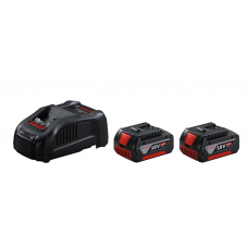 Set 2 batterie 18V 5.0Ah + Caricabatteria