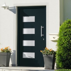 Porta d'Ingresso in Alluminio e PVC Antracite 100x210 cm (3056825)