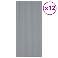 Pannelli da Tetto 12 pz in Acciaio Zincato Argento 100x45 cm (317221)